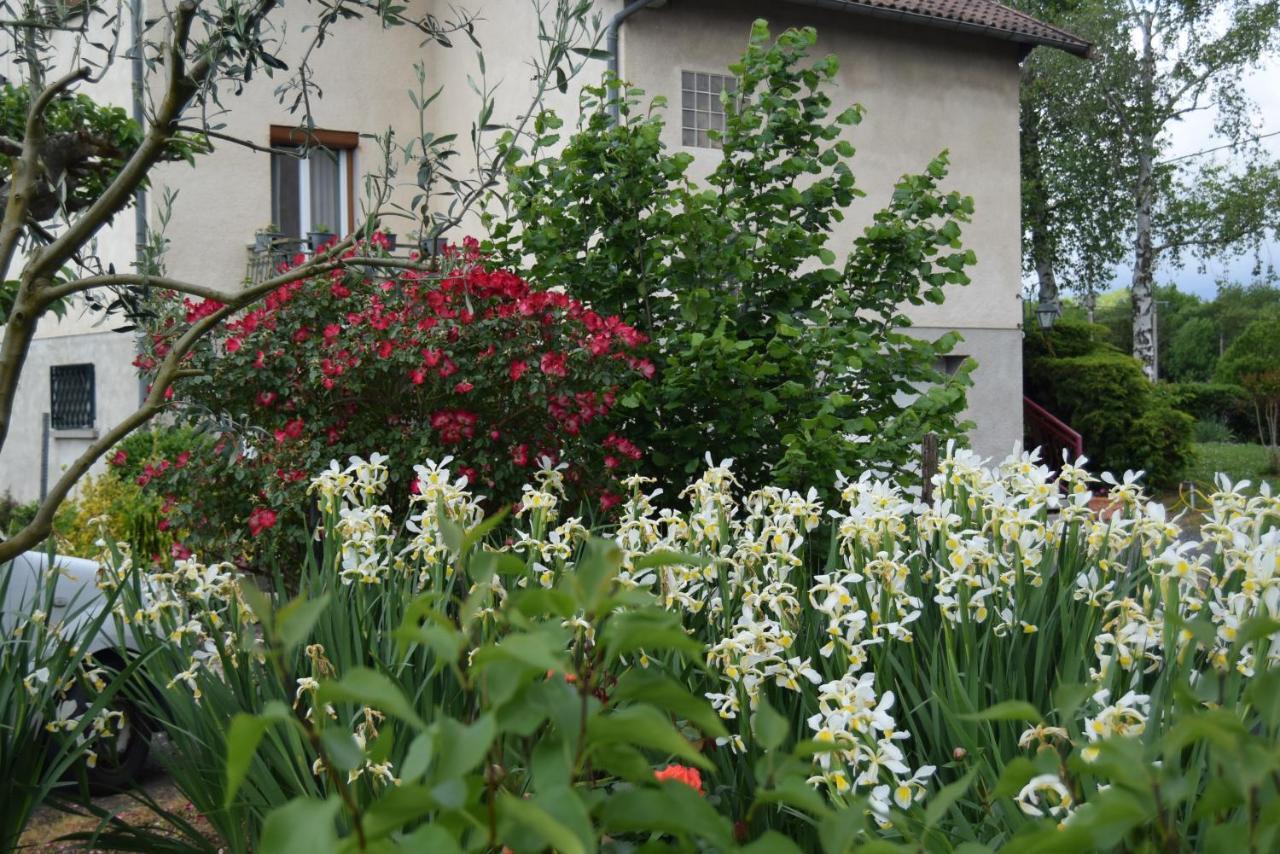 Bed and Breakfast Le Nid De L'Ecureuil Brens  Exterior foto